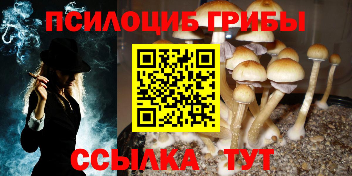 Галлюциногенные грибы MAGIC MUSHROOMS Ликино-Дулёво