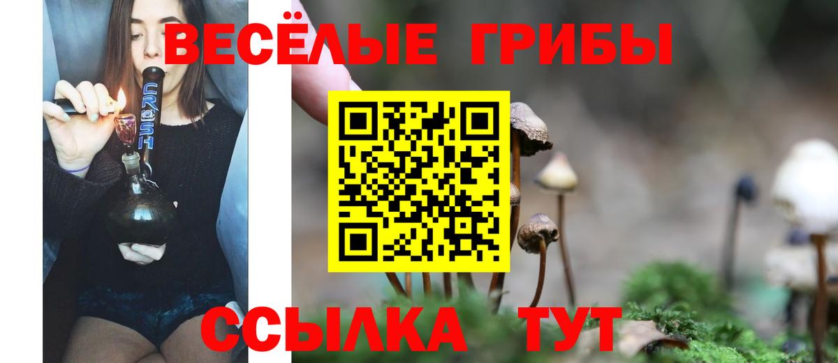 Ликино-Дулёво  цены   Вход с VPN  Псилоцибиновые грибы Psilocybine cubensis 